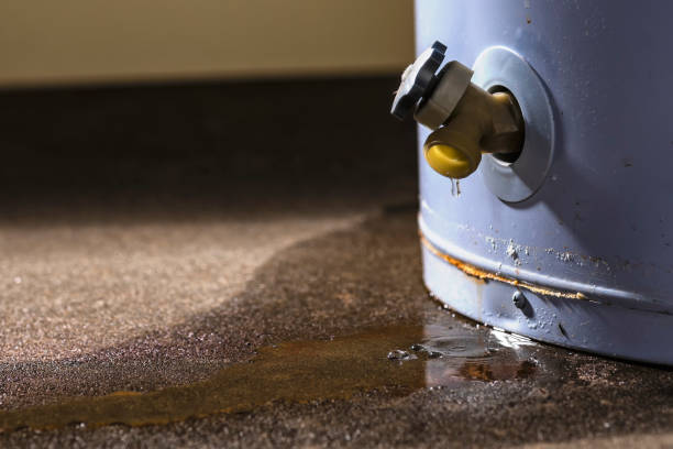 Best Flood restoration services  in Winter Gardens, CA