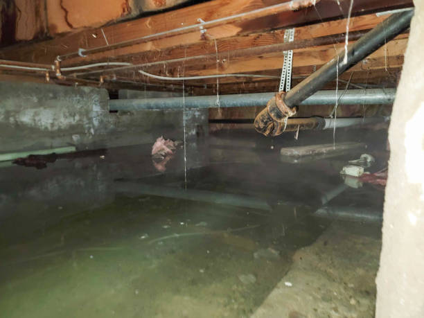 Best Commercial water damage restoration  in Winter Gardens, CA