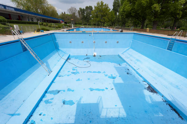 Best Mold removal after water damage  in Winter Gardens, CA
