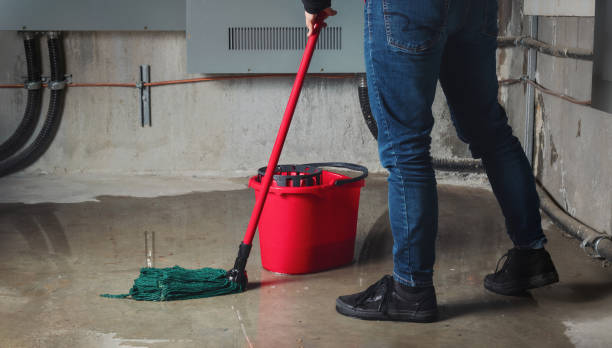 Best Emergency water damage restoration  in Winter Gardens, CA