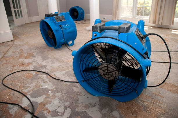 Best 24-hour water damage restoration  in Winter Gardens, CA