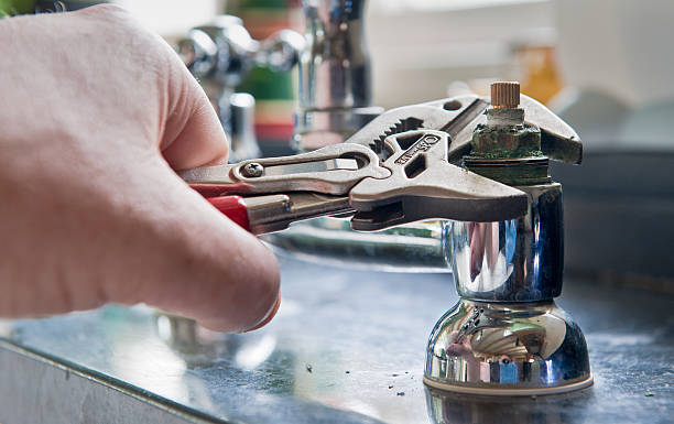 Best Professional water damage repair  in Winter Gardens, CA