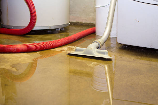 Best Water damage cleanup near me  in Winter Gardens, CA