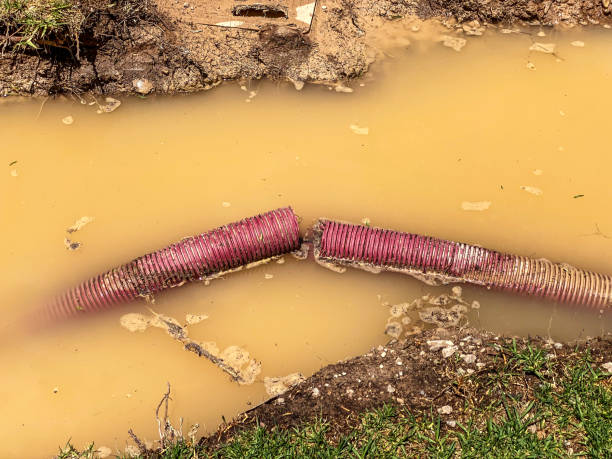 Best Water damage mitigation services  in Winter Gardens, CA